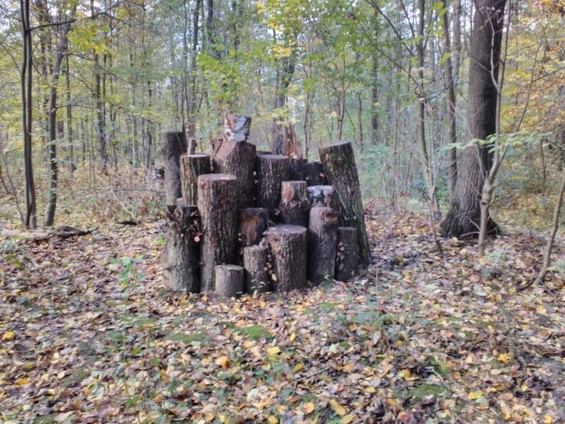 Broukoviště plazoviště hadníky Gliňočské tůně