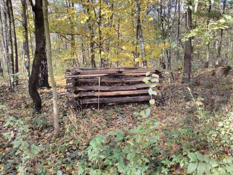 Broukoviště plazoviště hadníky Gliňočské tůně