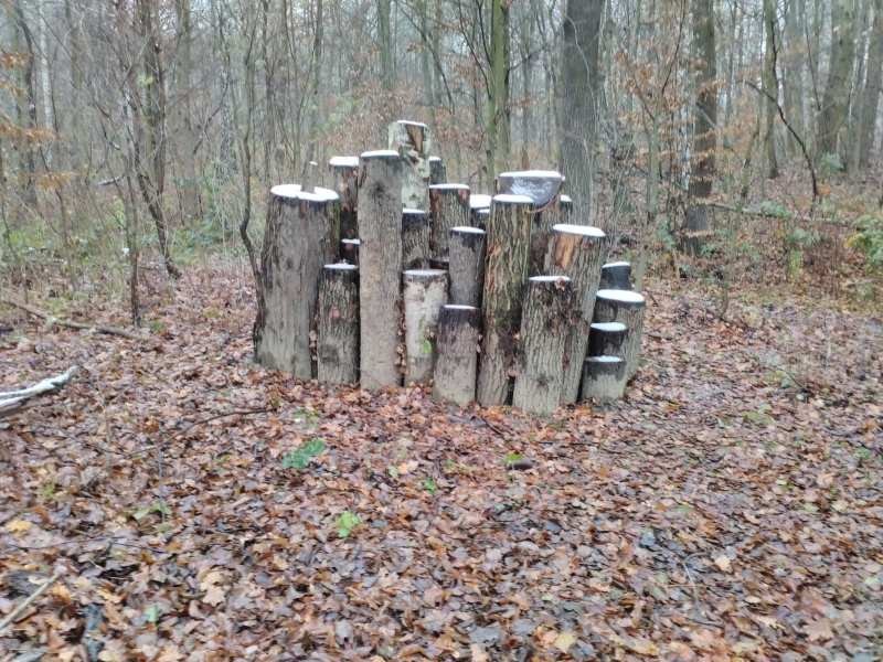 Broukoviště plazoviště hadníky Gliňočské tůně