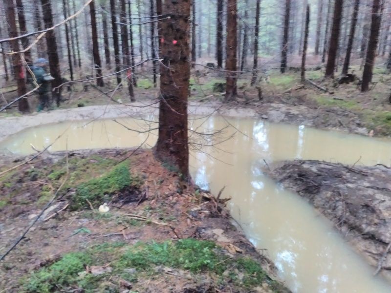 Tůně Biskupské lesy Ostravice