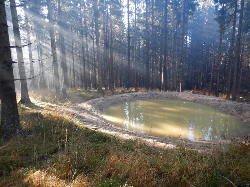 Tůně Biskupské lesy LHC Ostravice